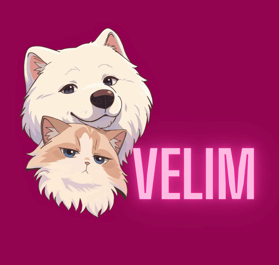 VELIM Careers